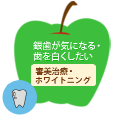 銀歯が気になる・歯を白くしたい審美治療・ホワイトニング