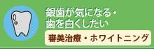 銀歯が気になる・歯を白くしたい審美治療・ホワイトニング